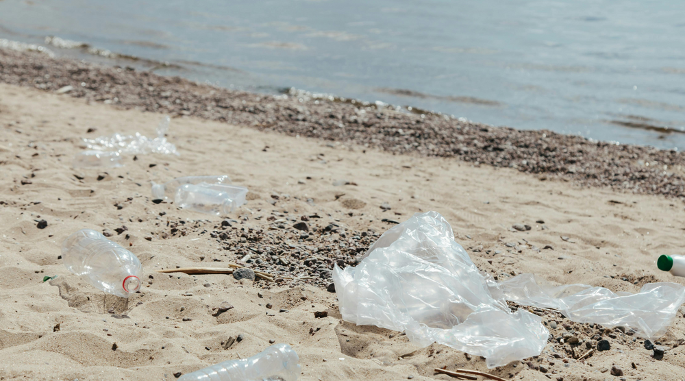 NSW Makes a Move in Banning Single-Use Plastics